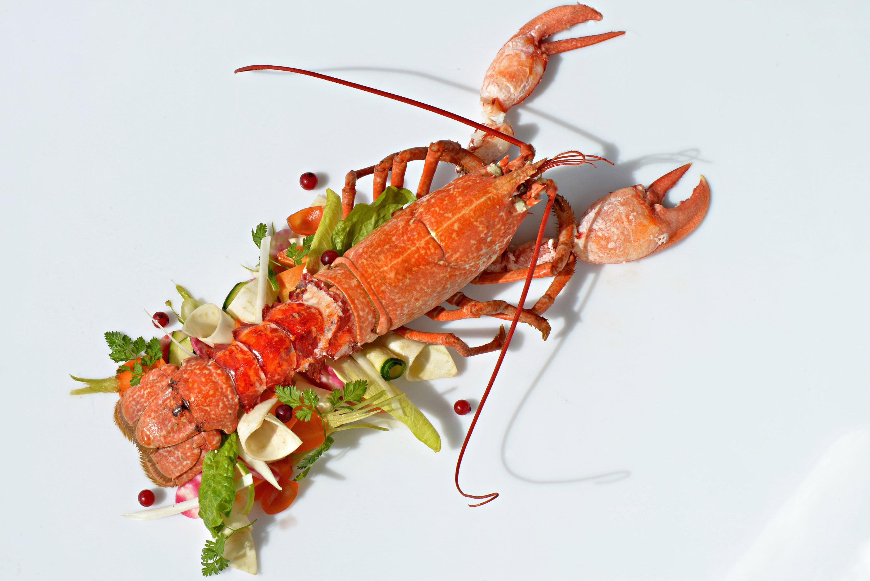 Manche : Les Pêcheurs En Ont "ras-le-bol&quot